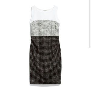 Le Lis Maternity Block Dress Small Colorblock